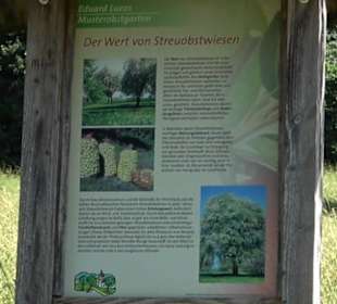 Eduard Lucas Musterobstgarten Mähringen