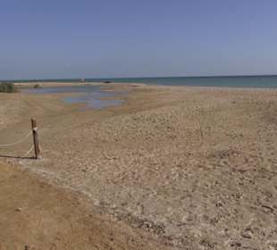 Stadtbesichtigung El Gouna