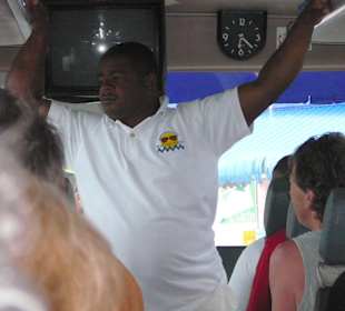 Black Banana von Mary Sol Tours.