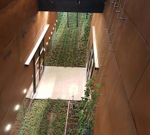 Europejskie Centrum Solidarności