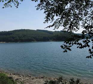 Hennesee