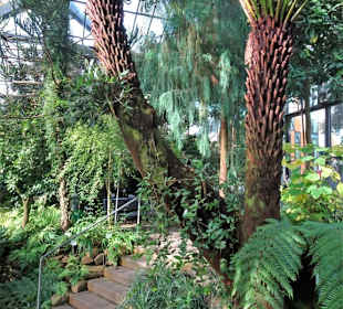 Die Tropengewächshäuser in "Planten un Blomen"