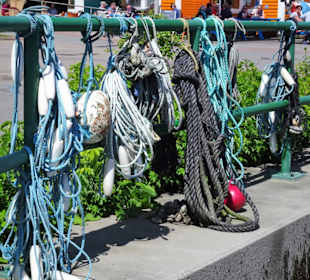 Impressionen aus dem Hafen von Helgoland