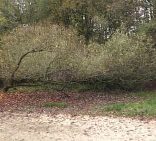 Naturschutzgebiet Listhof