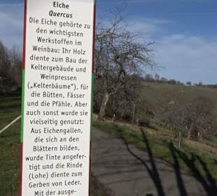 Wanderung Florianrunde