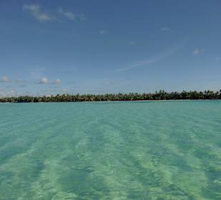 Isla Saona