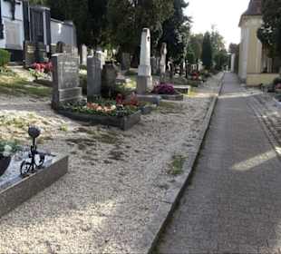 Haupt- und Waldfriedhof