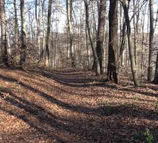 Wandertour Eppenzill