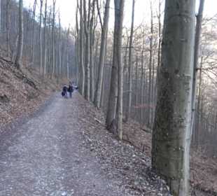 Wandertour Eppenzill