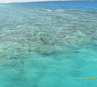 Dive Point Red Sea - Ausflug
