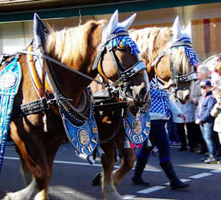 Bierführerverein 1892 Fürth Fußgruppe 2Pferdegesp.