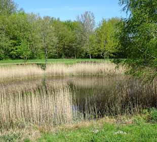Spaziergang durch den Walter-Peters-Park