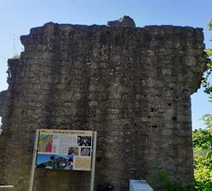 Burg Falkenstein in Winnweiler