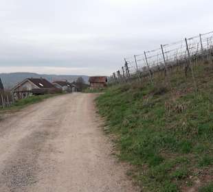 Unterjesinger Wengertwegle