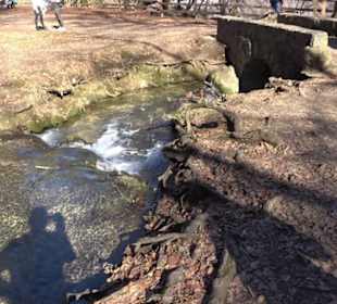 Bad Uracher Wasserfall