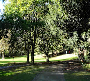 Herbstspaziergang durch Knoops Park