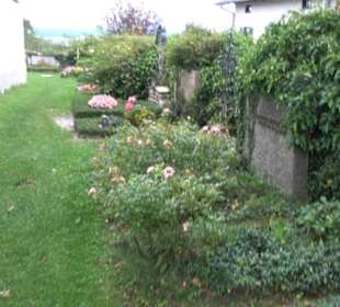 Friedhof Ilkahöhe