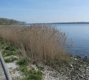 Eindrücke von unseren Priwallwanderungen