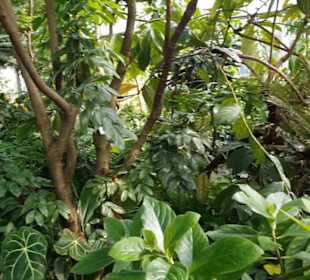 Botanischer Garten 