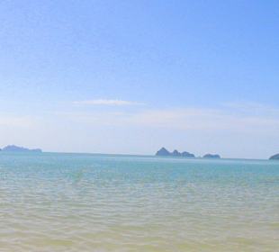 The Beach