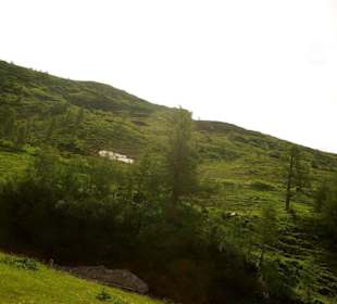 Auffahrt zum GG Blick nach oben