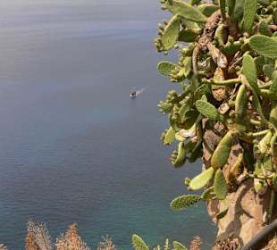 Auf halber Höhe zum Kliff