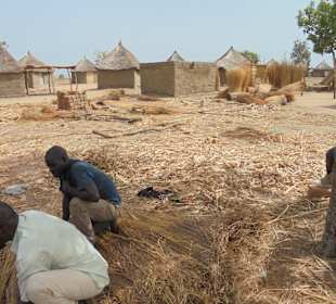 Dachbau im Norden von Kamerun