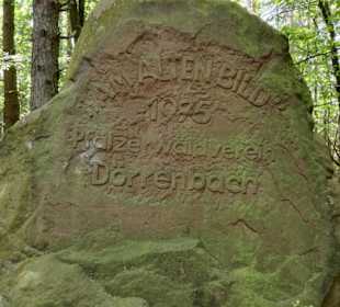 Irgendwo unterwegs im Wald 