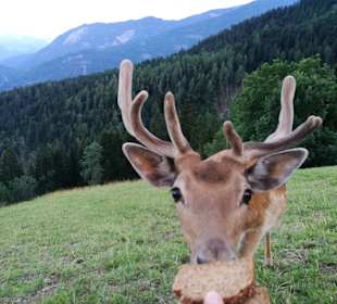 Wandern Oberdrauburg