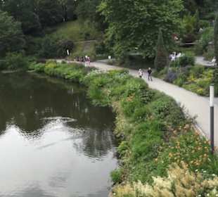 Alter Botanischer Garten