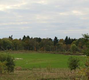 Fairway + Grün Bahn 3