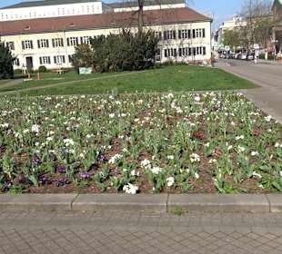 Staatliches Naturkunde Museum
