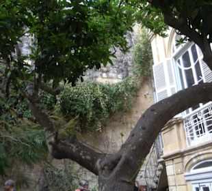 Casa Rocca Piccola