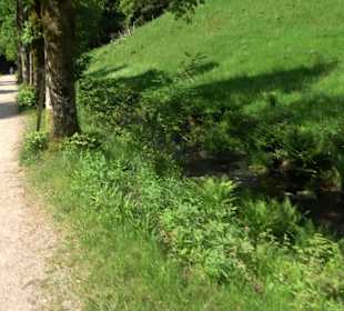 Wasserfälle Allerheiligen