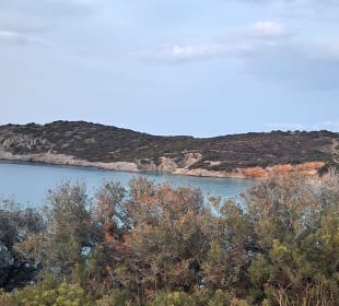 Ausblick