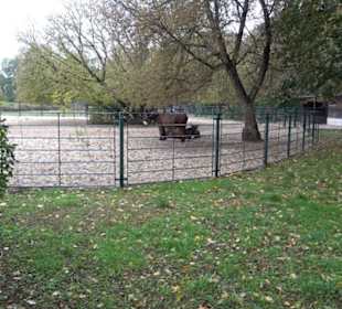 Tierpark 