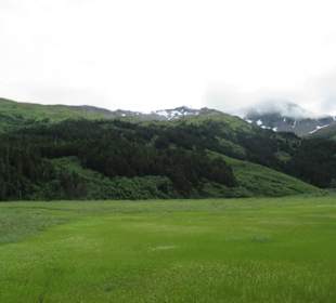 Auf dem Weg zu den Gletschern