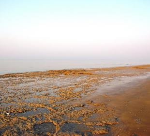 Strand in Bibione Juni 2012