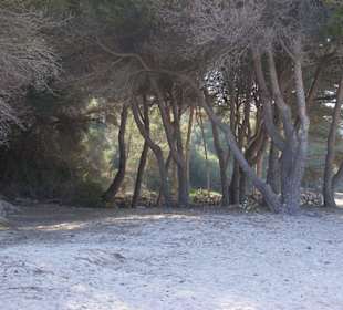 Naturpark direkt bei der Bucht von Mondrago