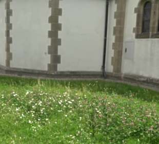 Kirche St. Pankratius Bühl