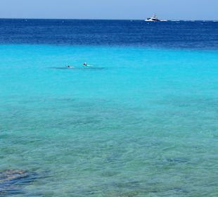 Impressionen vom Restaurant Karakter