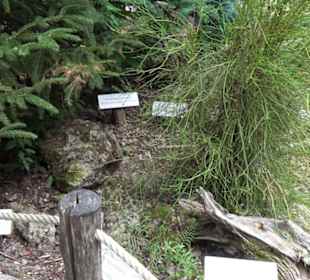 Dinosaurier Museum Altmühltal