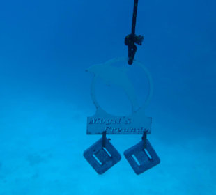 Angekommen in der Tiefe