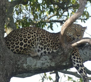 Einfach mal abhängen