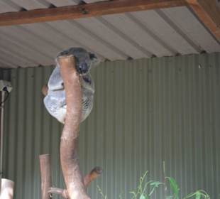 Feather Dale Wildlife Park