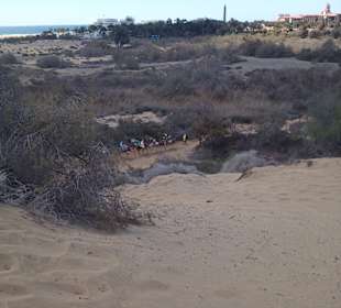 Dünen von Maspalomas