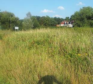 Blick von der Elbe zum Hotel