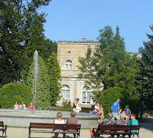 Park Solankowy