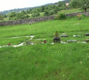 Friedhof Salzstetten