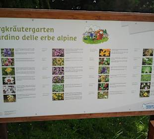 Übersicht Bergkräutergarten